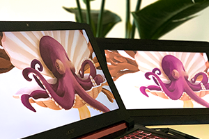 Two monitors displaying Lezio Lopes octopus artwork